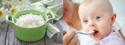 Сир для грудничка як давати продукт і вводити в раціон, як приготувати за рецептами (грудничка) Сир для грудничка як давати продукт і вводити в раціон, як приготувати за рецептами