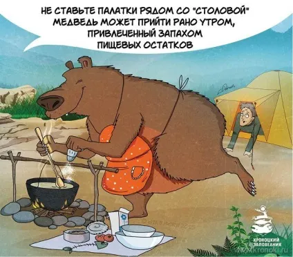 туристи ведмідь