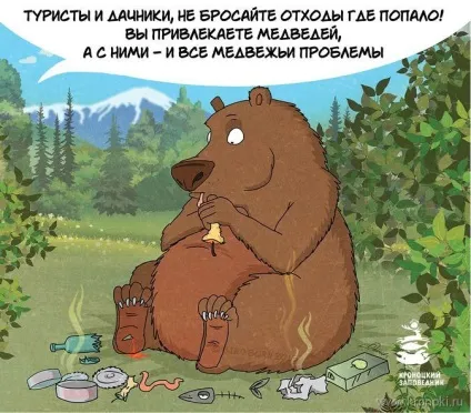 туристи ведмідь