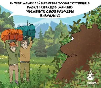 туристи ведмідь