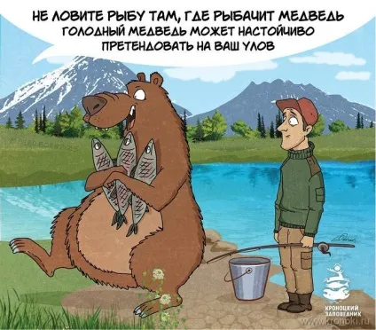 туристи ведмідь