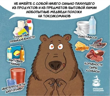 туристи ведмідь