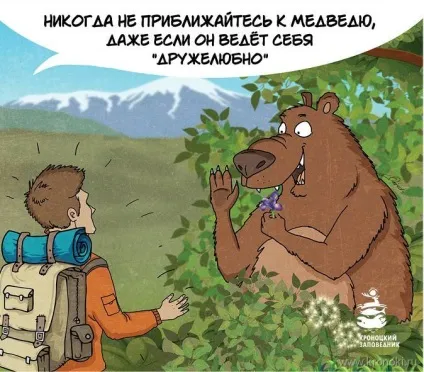 туристи ведмідь