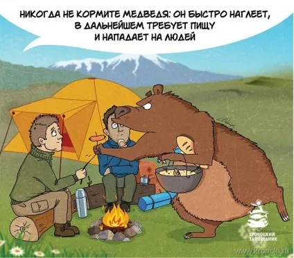 туристи ведмідь