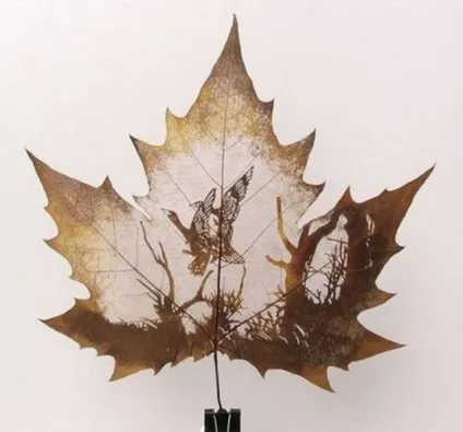 Дивовижні малюнки на кленових листках - ярмарок майстрів - ручна робота, handmade (гербарій) Дивовижні малюнки на кленових листках - ярмарок майстрів - ручна робота, handmade
