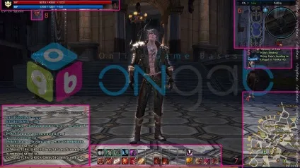 Управління, інтерфейс, взаємодія в tera online