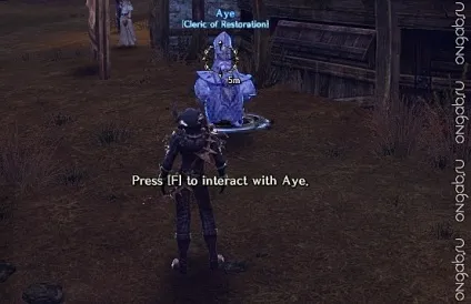 Управління, інтерфейс, взаємодія в tera online