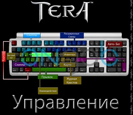 Управління, інтерфейс, взаємодія в tera online