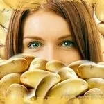 Варена і сира картопля шкоду і користь (картопля) Варена і сира картопля шкоду і користь