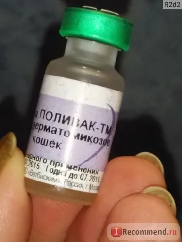 Вакцина нарвак полівак-тм проти дерматомікозів кішок - «всім кошководам-повне вилікування від лишаю (проти) Вакцина нарвак полівак-тм проти дерматомікозів кішок - «всім кошководам-повне вилікування від позбавляючи