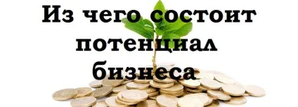 У чому криється потенціал бізнесу - основні моменти для малому бізнесі (потенціал) У чому криється потенціал бізнесу - основні моменти для малому бізнесі