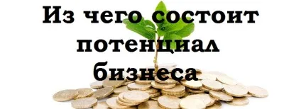 У чому криється потенціал бізнесу - основні моменти для малому бізнесі (потенціал) У чому криється потенціал бізнесу - основні моменти для малому бізнесі