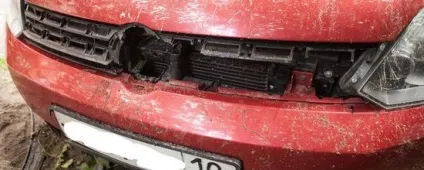 Дізналися, що у вас там виросло в городі (Карелія) Дізналися, що у вас там виросло в городі