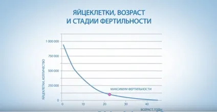 Узі на коломенської в клініці «я здорова! », Вартість узі яєчників, плода (органів малого таза) Узі на коломенської в клініці «я здорова! », Вартість узі яєчників, плода