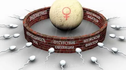Узі на коломенської в клініці «я здорова! », Вартість узі яєчників, плода (плоду) Узі на коломенської в клініці «я здорова! », Вартість узі яєчників, плода