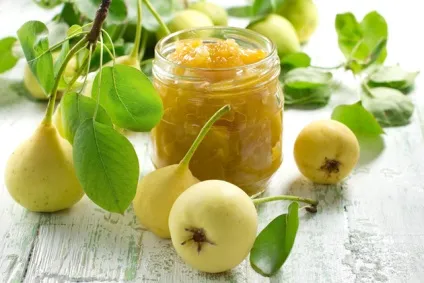 Варення з кульбаб - рецепти і користь (варення) Варення з кульбаб - рецепти і користь