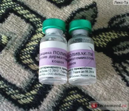 Вакцина нарвак полівак-тм проти дерматомікозів кішок - «нашому коту вакцина полівак не пішла, (проти) Вакцина нарвак полівак-тм проти дерматомікозів кішок - «нашому коту вакцина полівак не пішла,