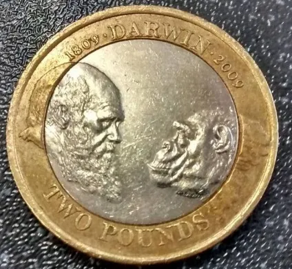 У чому суть теорії Дарвіна
