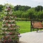 Вертикальне озеленення своїми руками (50 фото) забору на дачі, жива стіна в інтер'єрі, рослини в (вертикальне) Вертикальне озеленення своїми руками (50 фото) забору на дачі, жива стіна в інтер'єрі, рослини в
