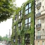 Вертикальне озеленення своїми руками (50 фото) забору на дачі, жива стіна в інтер'єрі, рослини в (озеленення) Вертикальне озеленення своїми руками (50 фото) забору на дачі, жива стіна в інтер'єрі, рослини в