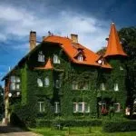 Вертикальне озеленення своїми руками (50 фото) забору на дачі, жива стіна в інтер'єрі, рослини в (забору) Вертикальне озеленення своїми руками (50 фото) забору на дачі, жива стіна в інтер'єрі, рослини в