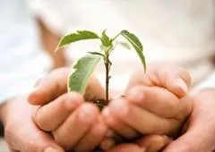 Чи вигідно бути добрим