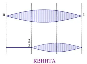 Види музичних строїв