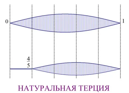 Види музичних строїв