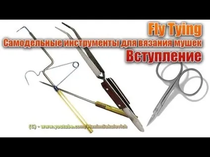 Videos like this Videos like this