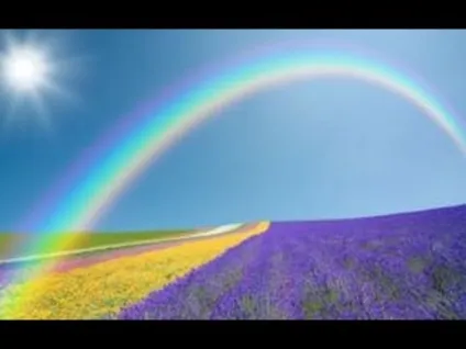 Videos like this Videos like this