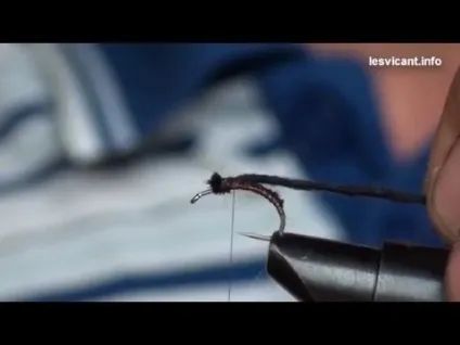 Videos like this Videos like this