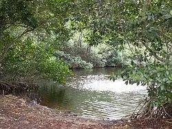 Водно-болотні угіддя - це