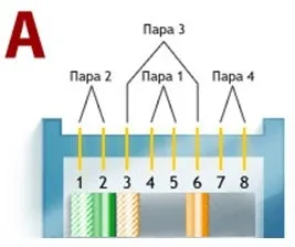 Вита пара обтиск і правильна терморегулятори для різних типів з'єднання (обтиск) Вита пара обтиск і правильна терморегулятори для різних типів з'єднання