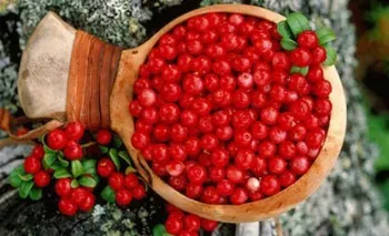 Вірусний менінгіт симптоми - 21 рецепт! (Рецепт) Вірусний менінгіт симптоми - 21 рецепт!