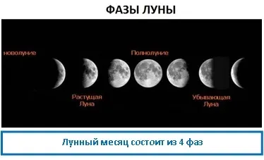 Вплив місяця на ріст рослин, ezoterizmo - містична енциклопедія (місяця) Вплив місяця на ріст рослин, ezoterizmo - містична енциклопедія
