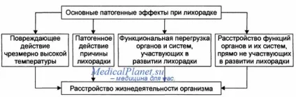 Висока температура у хворого на рак - діагностика, лікування (висока) Висока температура у хворого на рак - діагностика, лікування