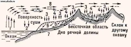 Вологооборот енциклопедія Вікіпедія (Вікіпедія) Вологооборот енциклопедія Вікіпедія