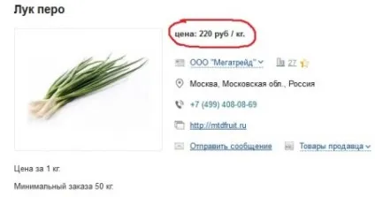 Вирощування цибулі на продаж (продаж) Вирощування цибулі на продаж