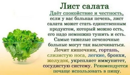 Вітамінна дієта для схуднення меню для білково-вітамінної дієти, відгуки (вітамінна) Вітамінна дієта для схуднення меню для білково-вітамінної дієти, відгуки