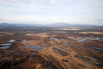 Водно-болотні угіддя