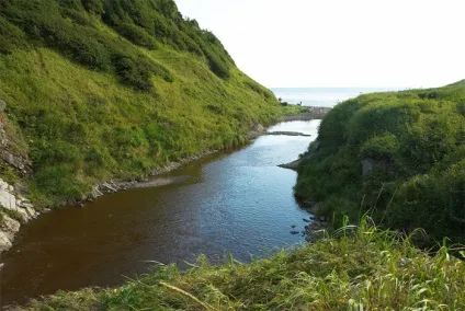 Водно-болотні угіддя