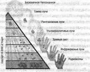 Вселенський розум і квантове поле