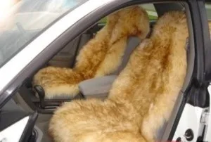 Все, що необхідно знати про хутряних накидках для автомобільних сидінь (купити хутряні накидки на сидіння) Все, що необхідно знати про хутряних накидках для автомобільних сидінь