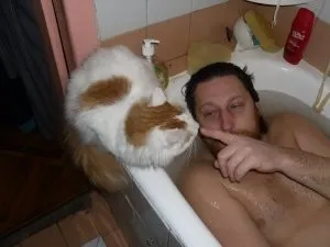 У скільки місяців можна зводити кота британця, котячий помічник (зводити) У скільки місяців можна зводити кота британця, котячий помічник