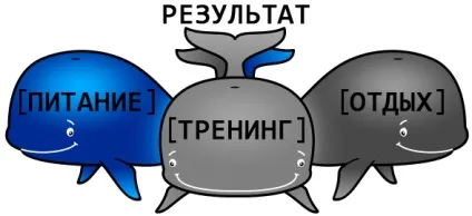 Воркаут програма тренувань на масу без обтяжень