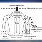 Хімічний склад елементів літосфери, terasfera (літосфери можна виділити) Хімічний склад елементів літосфери, terasfera