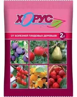 Хорус - інструкція по обробці рослин, відгуки, склад (хорус) Хорус - інструкція по обробці рослин, відгуки, склад