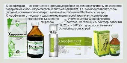 Хлорофіліпт при стоматиті опис і спосіб застосування (спосіб) Хлорофіліпт при стоматиті опис і спосіб застосування