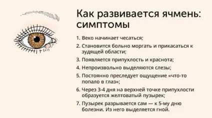 Ячмінь на оці - причини, симптоми і лікування хвороби (фото) (верхнього нижнього століття) Ячмінь на оці - причини, симптоми і лікування хвороби (фото)