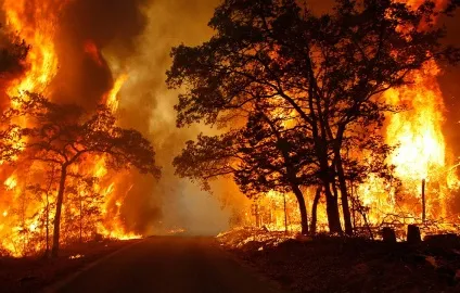 Я вам розповім про чоловіків таке, чого ви ніколи не чули, creu (чули) Я вам розповім про чоловіків таке, чого ви ніколи не чули, creu